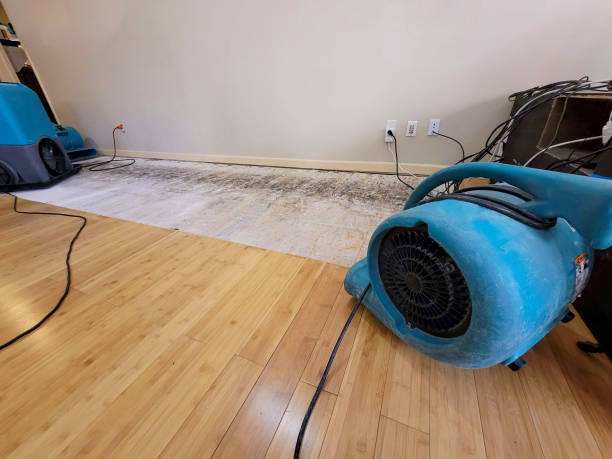 Professional Structural Drying technician working in Luling, LA
